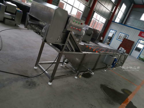 全自動土豆大姜毛刷清洗機 高效清潔的農業助手